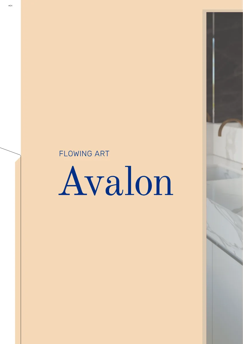 Couverture de Avalon