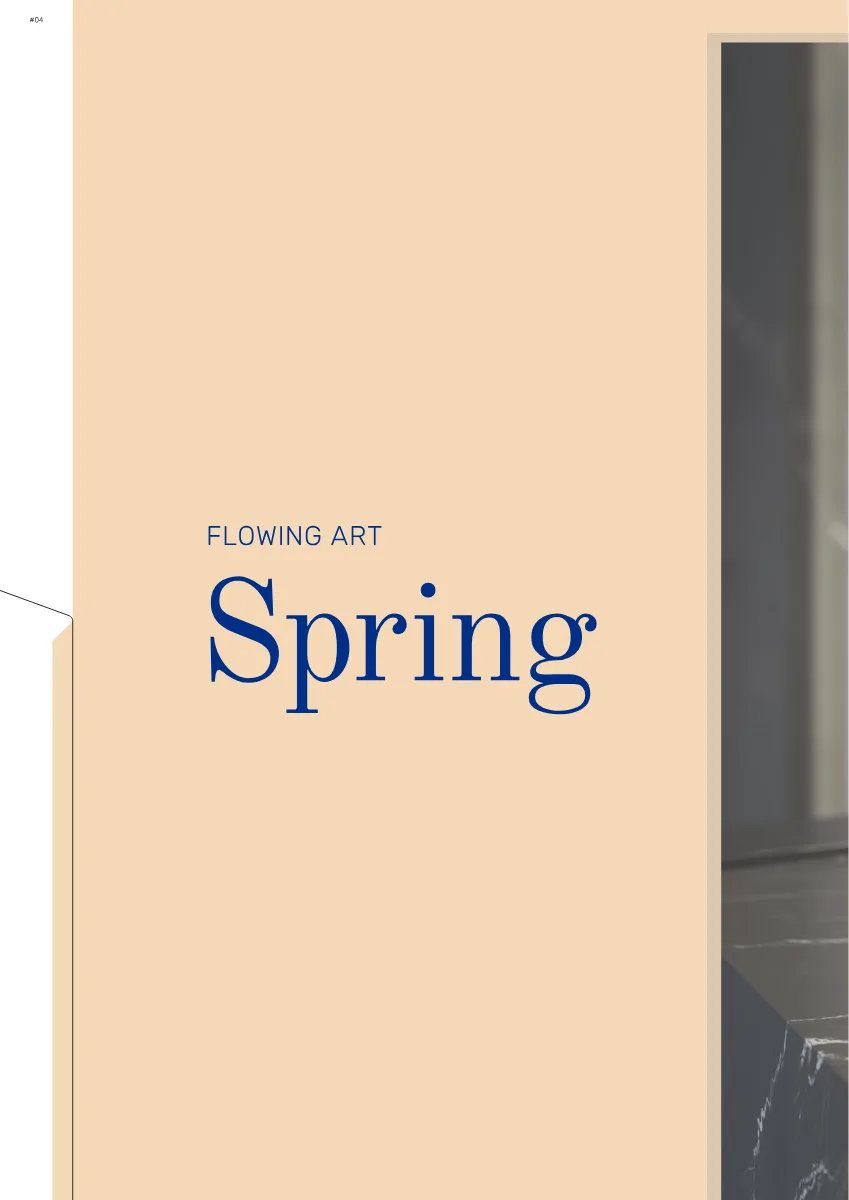 Couverture de Spring